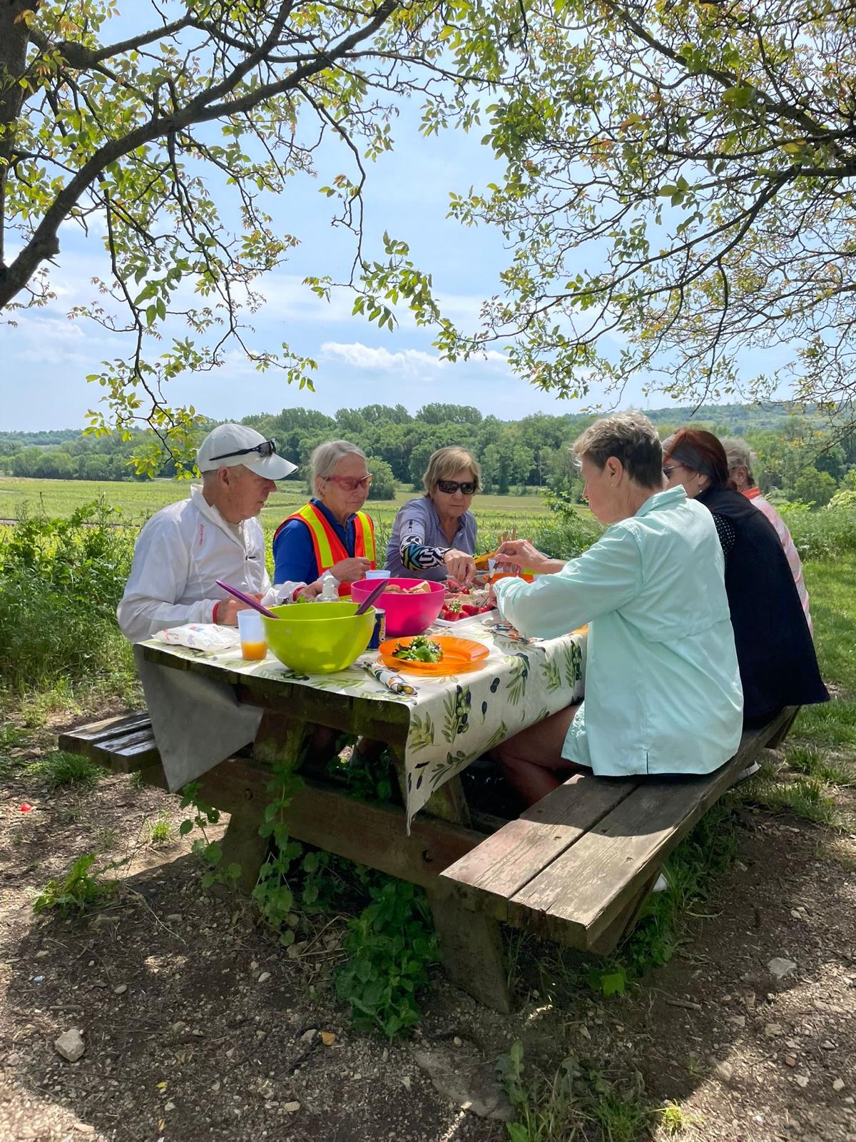 A French Cycling Holidays picnic with a background of fields and trees